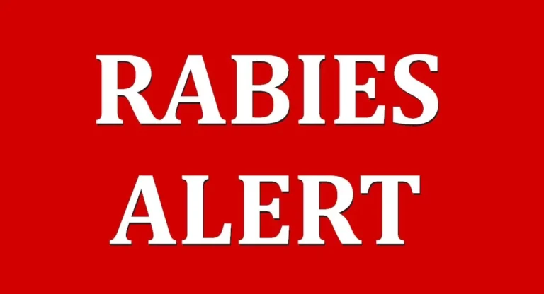 Habersham County Positive Rabies Case