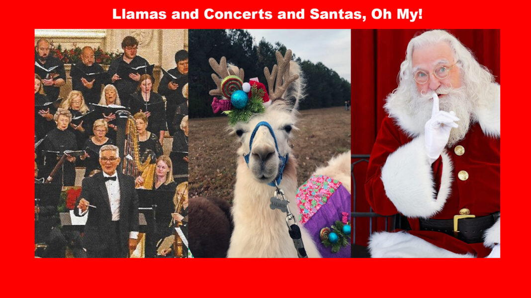 Llamas and Concerts and Santas, Oh My!