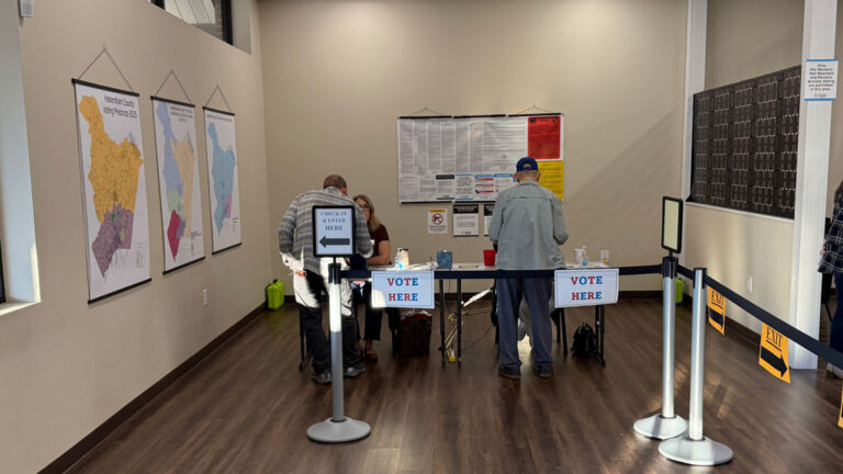 Habersham County Voters Approve SPLOST; Baldwin, Clarkesville, and Demorest Races Decided