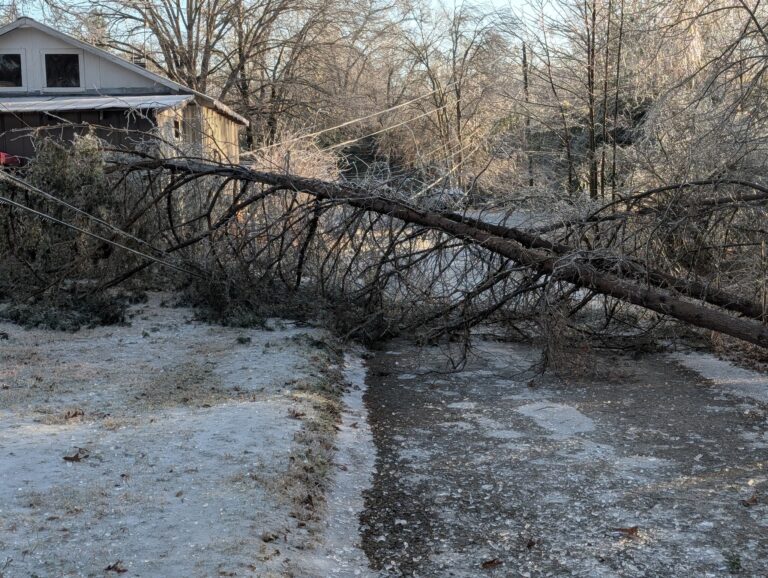 Habersham County Road Update: Storm Cleanup Efforts Continue; Please Stay Home