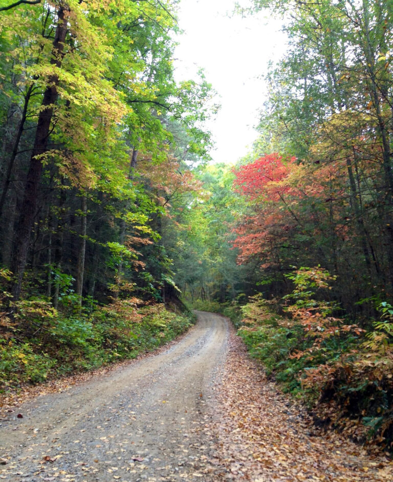 Why Habersham County’s Back Roads Matter More Than You Think