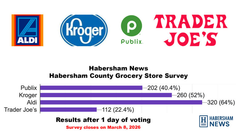 Grocery Store Survey Draws Strong Response; ALDI Leads Field