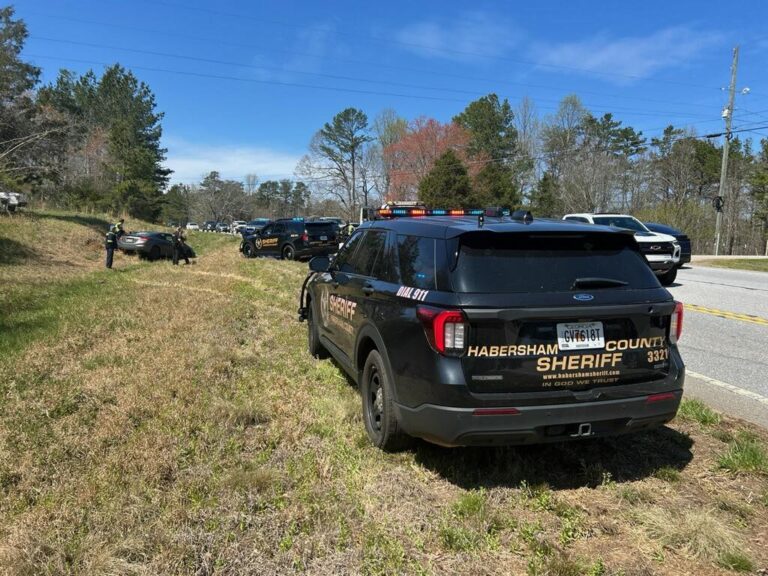Driver Identified After Deputies End Short Pursuit in Habersham County